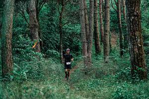 BIB: 
                            <button type="button" onclick="openModal(25236246)" class="btn btn-primary btn-sm float-right btn-popup" data-toggle="modal" data-target=".modal-high-quality">
                        <i class="fas fa-shopping-cart"></i> Add to Cart
                    </button>
                                            <button type="button" onclick="isThisMe(25236246, true)" class="btn btn-success btn-sm float-right btn-popup btn-isme hidden" data-toggle="tooltip" data-placement="bottom" title="นี่คือรูปของคุณใช่ไหม คลิกที่นี่เพื่อเอาเข้าอัลบั้ม">
                        <i class="fas fa-plus"></i> Add to album
                    </button>
                    <button type="button" onclick="isThisMe(25236246, false)" class="btn btn-warning btn-sm float-right btn-popup btn-isnotme hidden">
                        <i class="fas fa-ban"></i> Remove from album
                    </button>